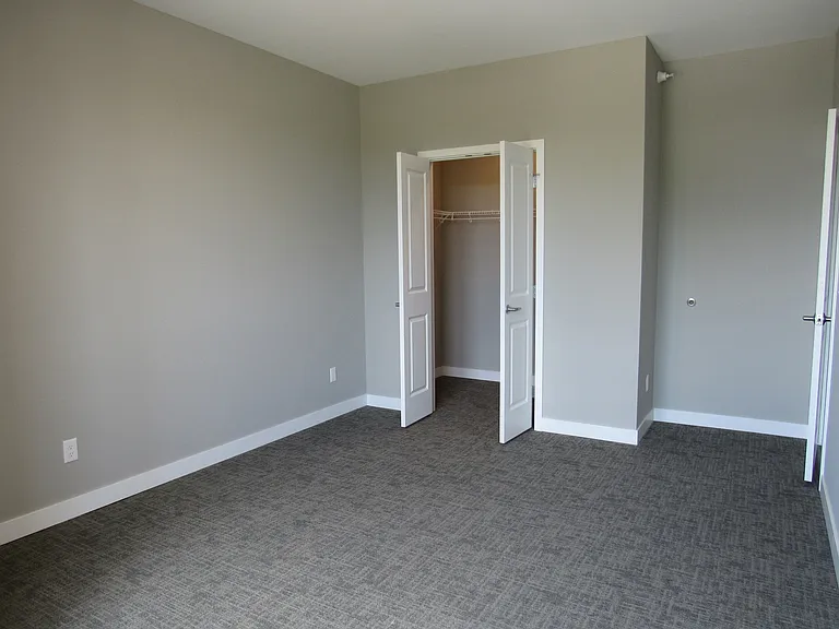 Walk-in closets in the bedrooms.