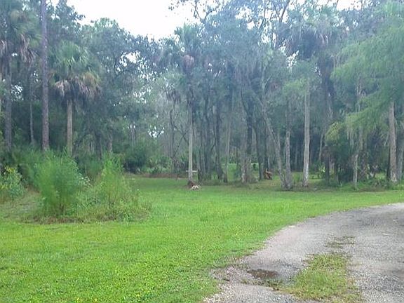 4th image of 1051 Lake Harney Woods Blvd