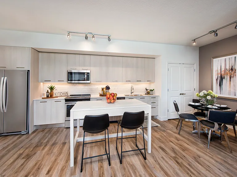 Apartment Kitchen