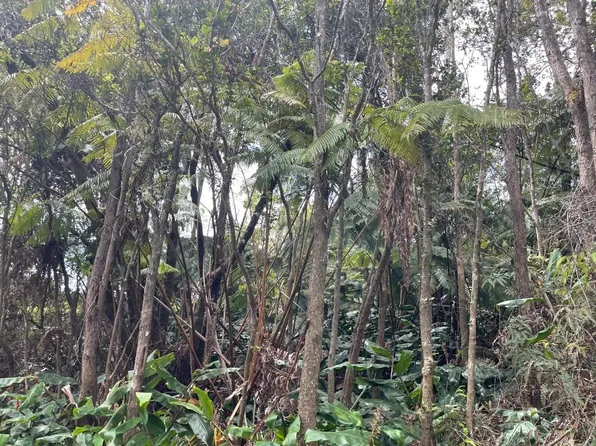 19-4273 Kekoa Nui Blvd Lot 39, Volcano, HI 96785