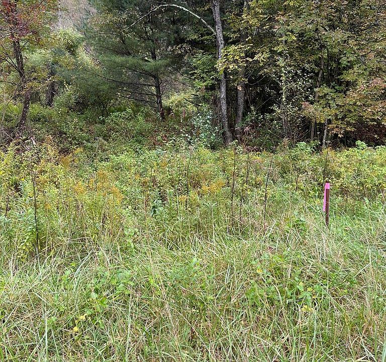 0 Route 349, Gaines, PA 16921 MLS 31717606 Zillow