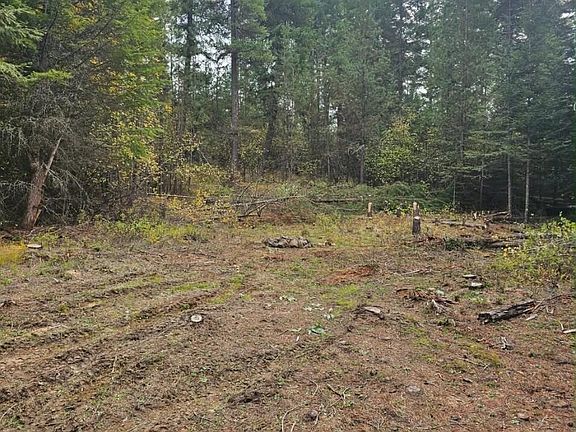 2nd image of 821 Willow Loop Rd