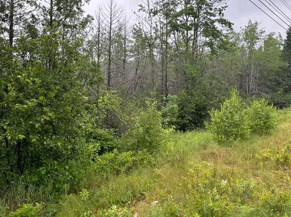 Lot 60 Tenan Lane, Cherryfield, ME 04622