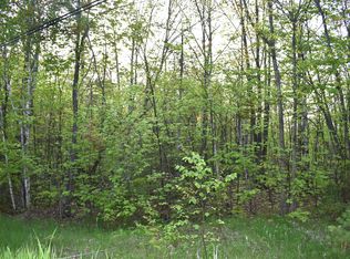 14236 Straits View Dr, Cheboygan, MI 49721