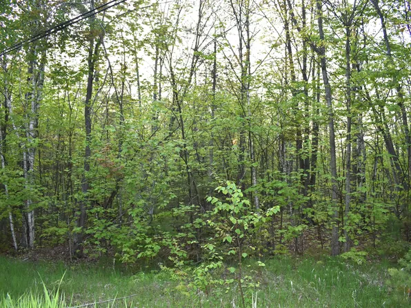 14236 Straits View Dr, Cheboygan, MI 49721