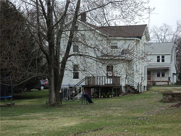 Back view