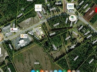3.3 AC East Oglethorpe Road, Flemington, GA 31313