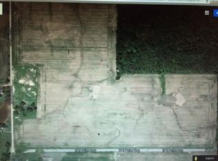 S Lacey Lake Rd, Bellevue, MI 49021