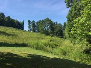 4315 Canvas Nettie Rd, Canvas, WV 26662