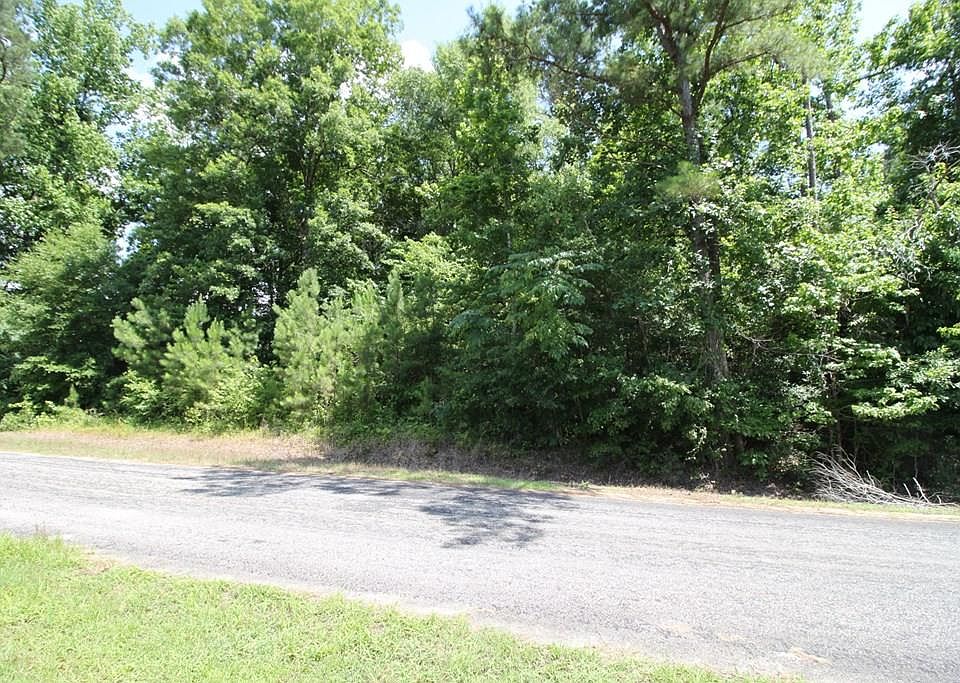 1 County Road 4 Rd, Cottonton, AL 36851 Zillow