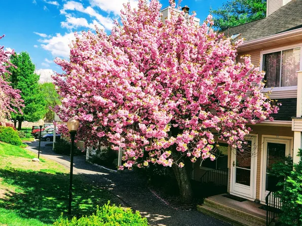 24 Willow Spgs #23, New Milford, CT 06776