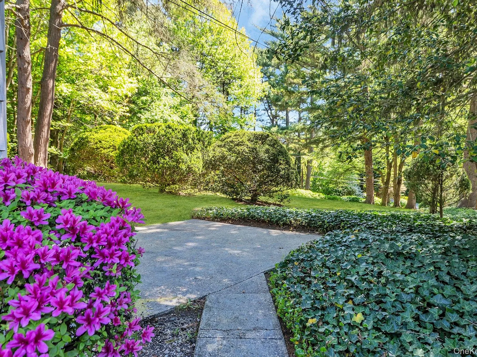 1 bed, 1.0 bath, 750 sqft, $3,700 — Photo 4