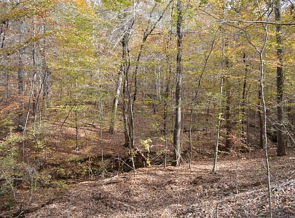 4th image of 4500 County Road 11