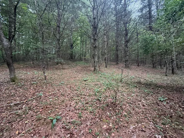 2678 Moncove Lake Rd, Gap Mills, WV 24941