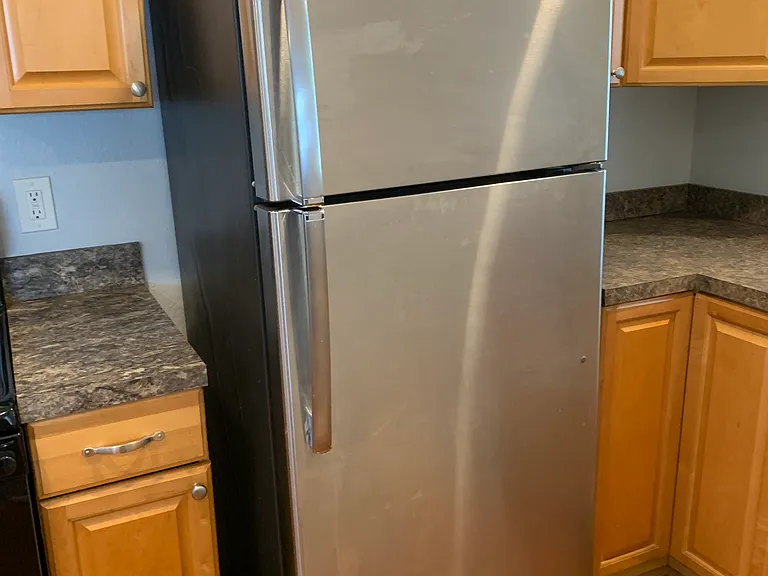 Stainless steel refrigerator with ice maker