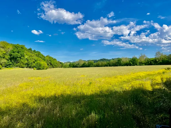 4045 S Mohawk Rd, Mohawk, TN 37810