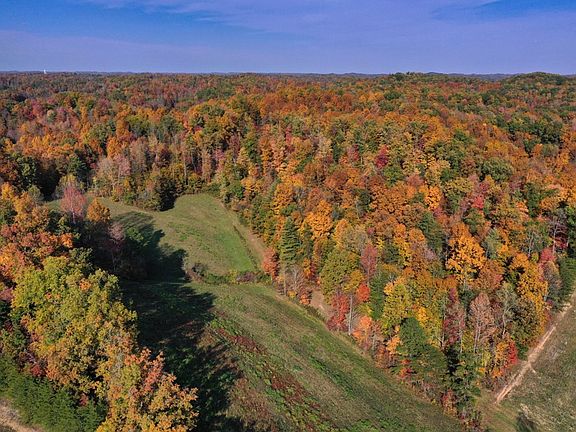 Aerial drone shot of some remarkable fall colors in the north portion of the property