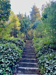 18090 Hwy 116 Highway, Guerneville, CA, 95446