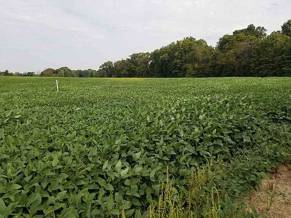 5th image of LOT 4 State Road 46
