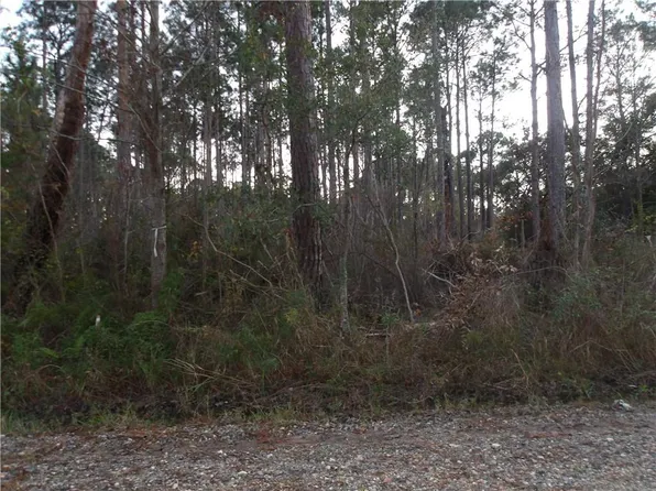0 Michigan Ave, Coden, AL 36523