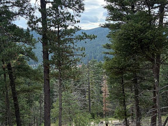 3rd image of 67 Forest View Rd