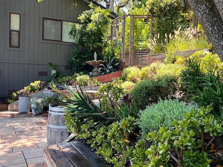 Side yard