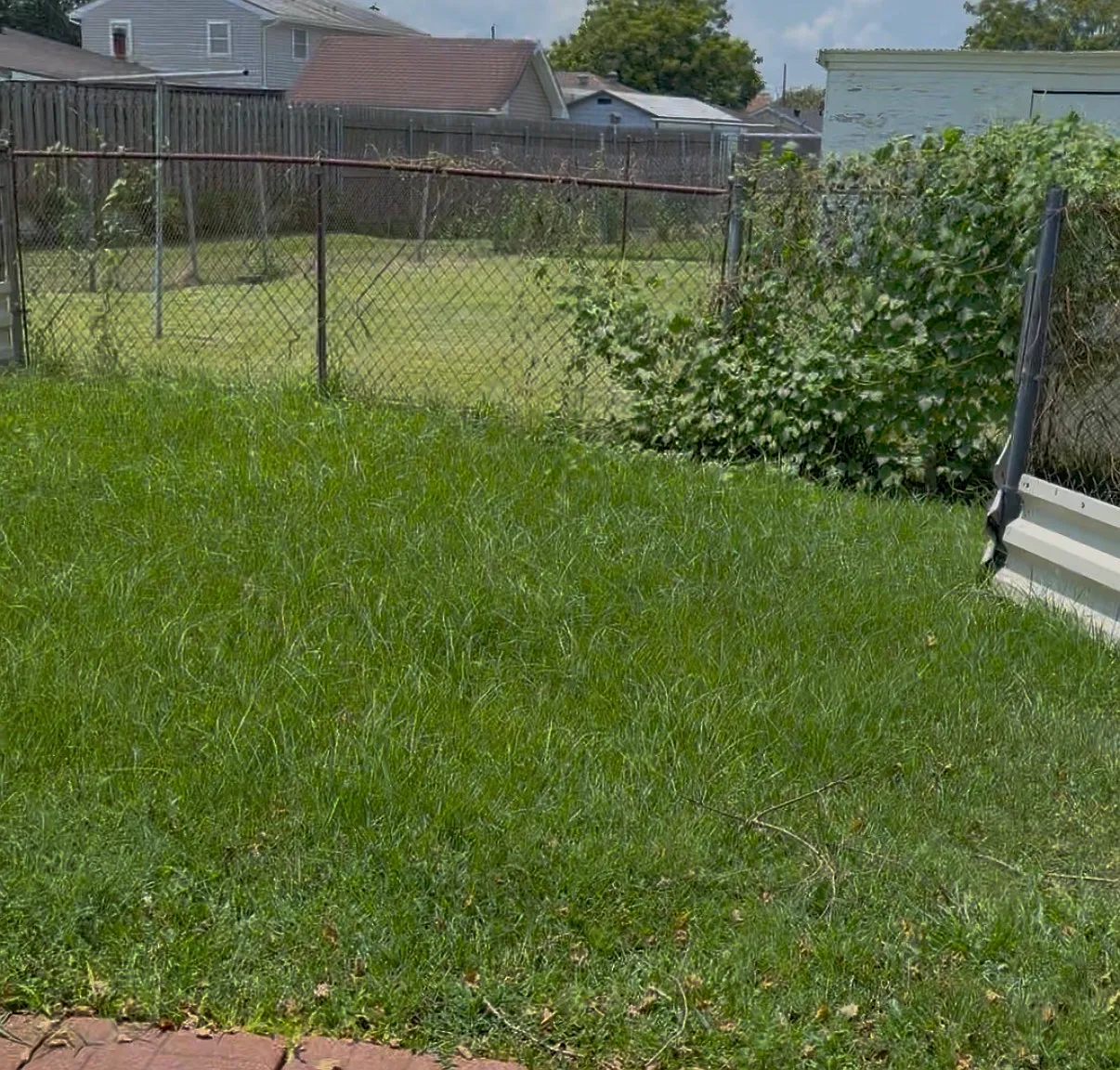 2 bed, 1100 sqft, $1,200 — Photo 1