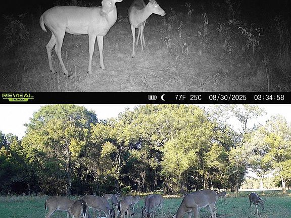 2nd image of 38987 Leo Rd