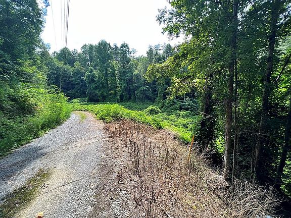 4th image of 0 S King Branch Rd Lot 1