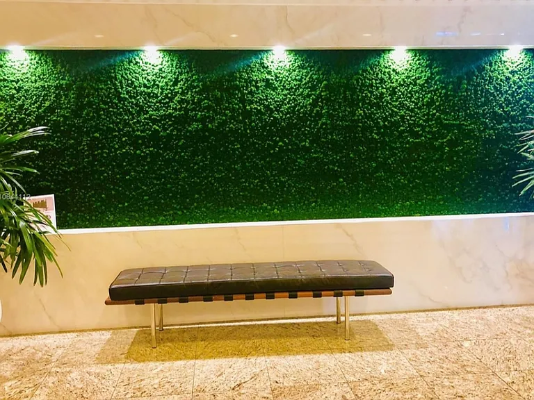 Green "living" wall in RECEPTION area