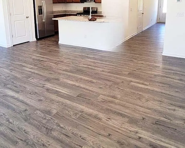 Kitchen and living room
