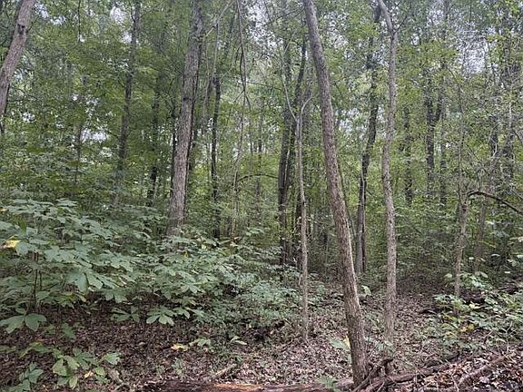 3rd image of Twin Bridges Rd