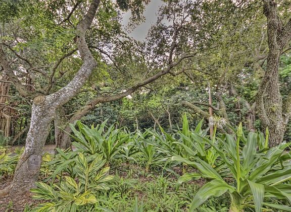 3rd image of 395 Gumbo Limbo Ln