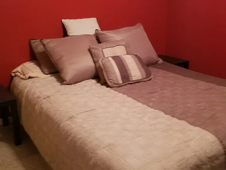 2413 Musk Ct — Photo 22