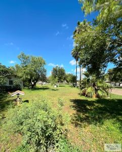 317 N 6th St, Donna, TX, 78537