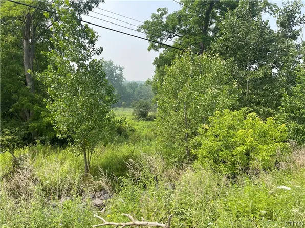 9488 Route 90 Lot 38, Genoa, NY 13071