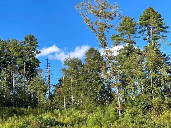 LOT 222 Woodstone Trl, Ellijay, GA 30540