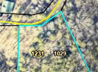 1029 Raccoon Rdg NE #1029, Ranger, GA 30734