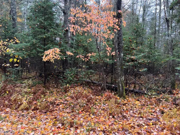 Fowler Ter, Phelps, WI 54554