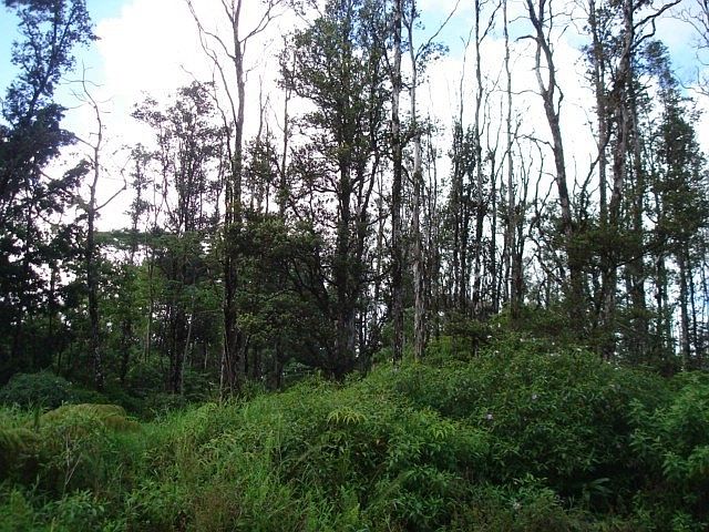 2nd image of Emerald Dr Lot 76