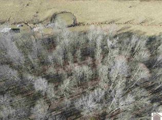 220 Dycus Rd, Marion, KY 42064