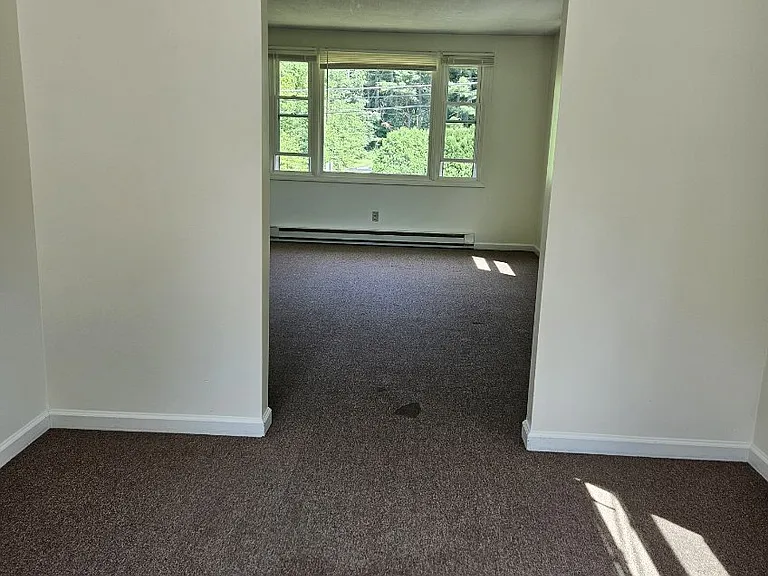29A Plumtree Rd #A — Photo 7