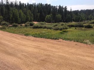 449 Shadow Lake Dr, Divide, CO 80814