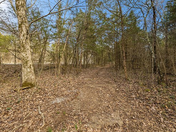 5th image of 7 Paschal Rd