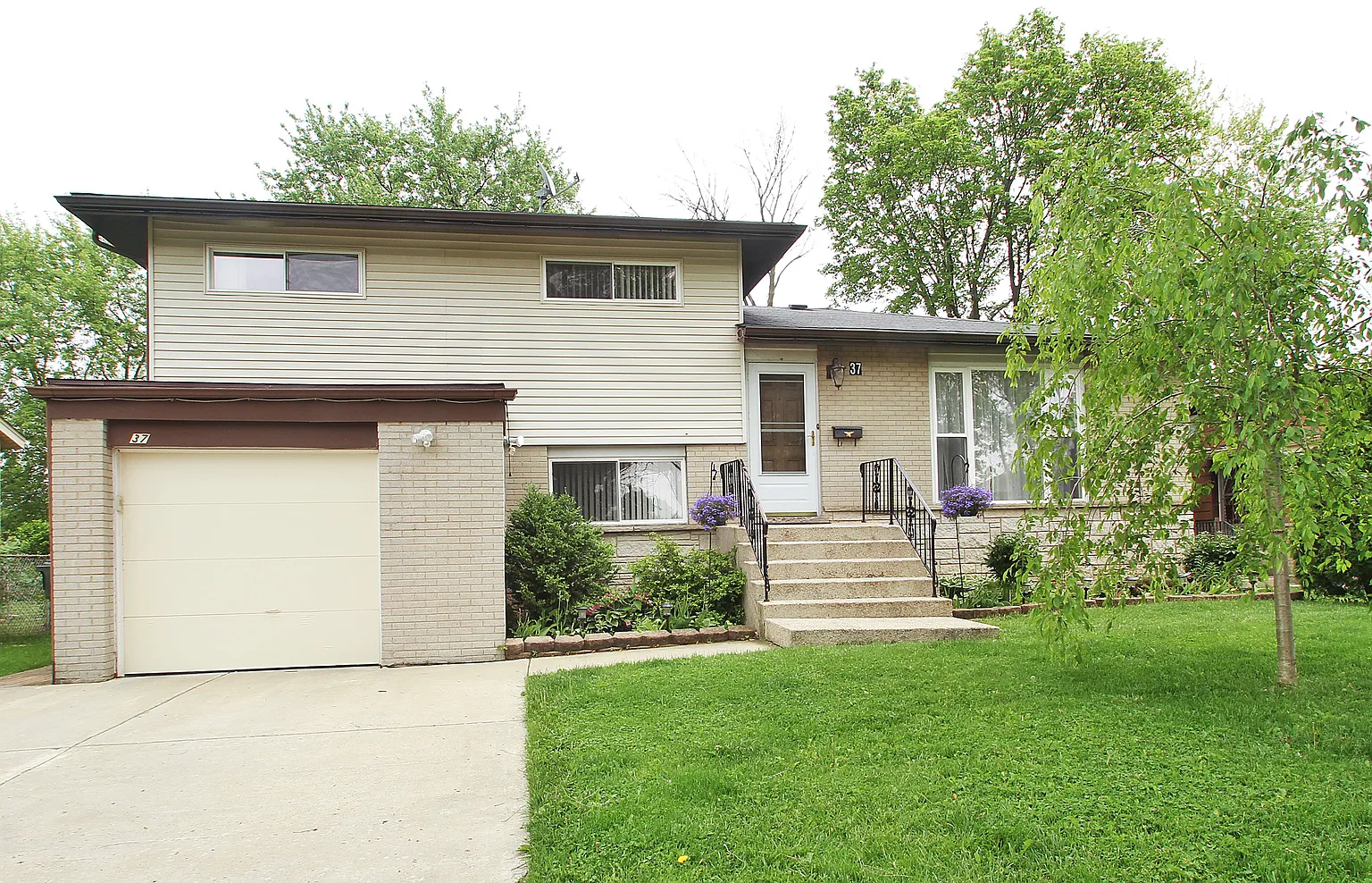 37 Stacy Ct photo 1