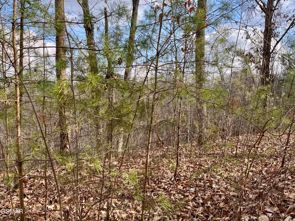 106 & 107 Dollys Dr, Sevierville, TN 37876