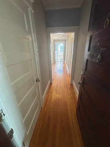 3 bed, 1.0 bath, 900 sqft, $2,800 — Photo 3