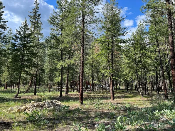 14 Summerland Lane, Mazama, WA 98833
