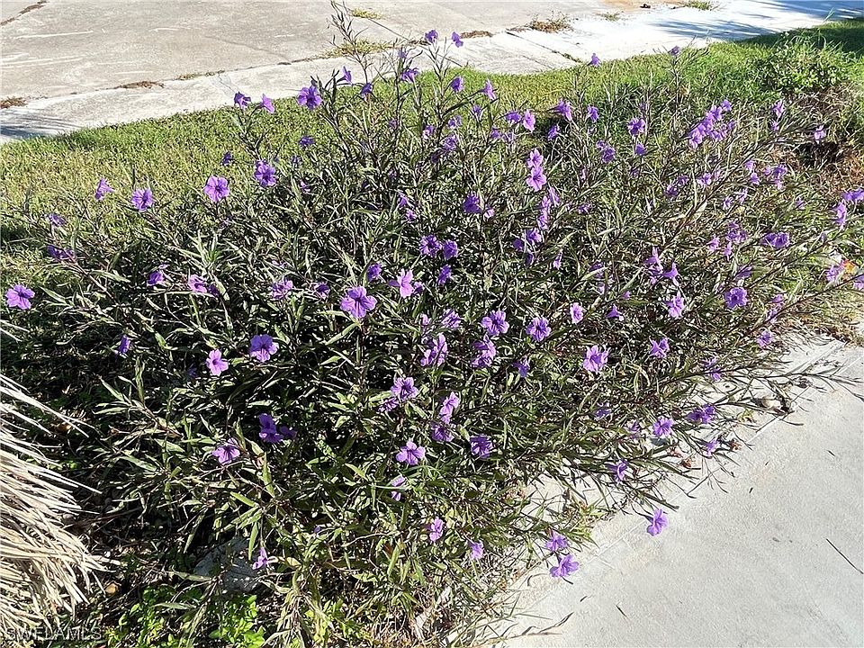 2nd image of 19681 Summerlin Rd #147