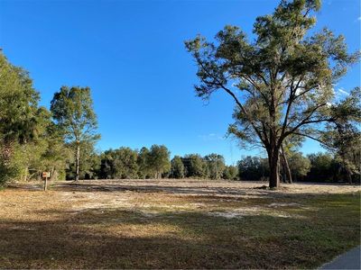 Maggie Jones Rd, Paisley, FL, 32767